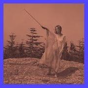 Der musikalische text SWIM AND SLEEP (LIKE A SHARK) von UNKNOWN MORTAL ORCHESTRA ist auch in dem Album vorhanden Ii (2013)