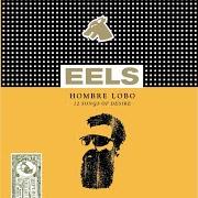 Der musikalische text MY TIMING IS OFF von EELS ist auch in dem Album vorhanden Hombre lobo: 12 songs of desire (2009)