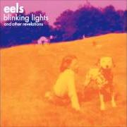 Der musikalische text THEME FOR A PRETTY GIRL THAT MAKES YOU BELIEVE GOD EXISTS von EELS ist auch in dem Album vorhanden Blinking lights and other revelations - disc 1 (2005)