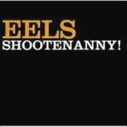 Der musikalische text DIRTY GIRL von EELS ist auch in dem Album vorhanden Shootenanny! (2003)