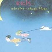 Der musikalische text HOSPITAL FOOD von EELS ist auch in dem Album vorhanden Electro-shock blues (1998)