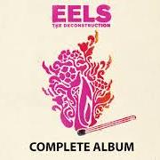 Der musikalische text YOU ARE THE SHINING LIGHT von EELS ist auch in dem Album vorhanden The deconstruction (2018)