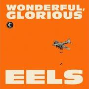 Der musikalische text ACCIDENT PRONE von EELS ist auch in dem Album vorhanden Wonderful, glorious (2013)