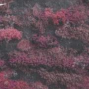 Der musikalische text PAST SELF von SLEEP TOKEN ist auch in dem Album vorhanden Even in arcadia (2025)