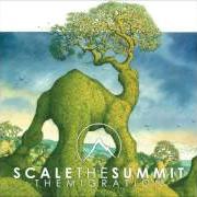 Der musikalische text THE TRAVELER von SCALE THE SUMMIT ist auch in dem Album vorhanden The migration (2013)