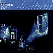 Der musikalische text A SERPENT'S TOUCH von KNOCKED LOOSE ist auch in dem Album vorhanden A different shade of blue (2019)