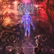 Der musikalische text SCREAM FEEDING von ARCHSPIRE ist auch in dem Album vorhanden The lucid collective (2014)