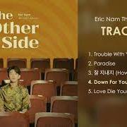 Der musikalische text DOWN FOR YOU von ERIC NAM ist auch in dem Album vorhanden The other side (2020)