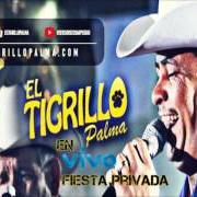 Der musikalische text CORRIDO DEL MELN von EL TIGRILLO PALMA ist auch in dem Album vorhanden Fiesta privada con banda (2008)