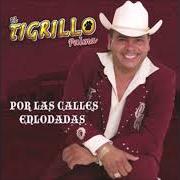 Der musikalische text EL COMPA TORTILLAS von EL TIGRILLO PALMA ist auch in dem Album vorhanden Por las calles enlodadas (2007)