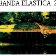 Elastica