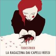 Der musikalische text LETTERA von LA RAGAZZINA DAI CAPELLI ROSSI ist auch in dem Album vorhanden Todestrieb (2016)