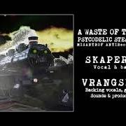 Der musikalische text ONE FOOT IN THE GRAVE (TIC-TAC) von A WASTE OF TALENT ist auch in dem Album vorhanden Psycodelic steamtrain (2008)