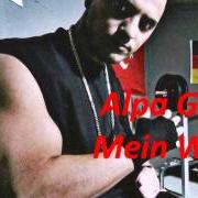 Der musikalische text MEIN WEG von ALPA GUN ist auch in dem Album vorhanden Aufstand auf den billigen plätzen - (single) (2008)