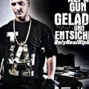 Der musikalische text WEITERLAUFEN von ALPA GUN ist auch in dem Album vorhanden Geladen und entsichert (2007)