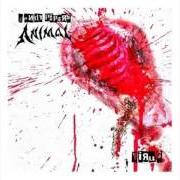 Der musikalische text L.U.S.T. von ANIMAL ist auch in dem Album vorhanden Virus (2008)