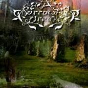 Der musikalische text THE BRINGER OF LIGHT von A SORROWFUL DREAM ist auch in dem Album vorhanden A garden of stones - demo (2003)