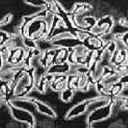Der musikalische text VENUS' SCARS von A SORROWFUL DREAM ist auch in dem Album vorhanden Promo tape - demo (2000)
