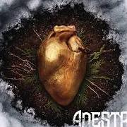 Der musikalische text UNCOMMON TRASH von ADESTRIA ist auch in dem Album vorhanden Gilded hearts (2014)