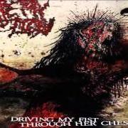 Der musikalische text STRANGLED WITH HER SEMEN-CRUSTED THONG von ARTERY ERUPTION ist auch in dem Album vorhanden Driving my fist through her chest (2009)