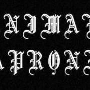 Der musikalische text SPLENDOUR OF THE CROSS von ANIMAE CAPRONII ist auch in dem Album vorhanden And hourglass of lifetime (2008)