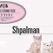 Der musikalische text SHPALMAN von ELIO E LE STORIE TESE ist auch in dem Album vorhanden Gattini (2009)