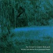 Der musikalische text REFLECTIONS OF FALLING LEAVES von AUTUMN'S GREY SOLACE ist auch in dem Album vorhanden Within the depths of a darkened forest (2002)