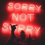 Der musikalische text TIL THEN von ZOEY DOLLAZ ist auch in dem Album vorhanden Sorry not sorry (2018)