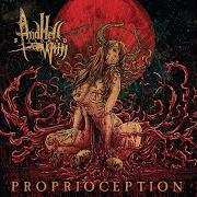 Der musikalische text IN VASTNESS I TRANSFIGURE von AND HELL FOLLOWED WITH ist auch in dem Album vorhanden Proprioception (2010)