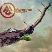 Der musikalische text TE REGALO von ADAMMO ist auch in dem Album vorhanden Amber (2011)