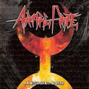 Der musikalische text WINGS OF THE VULTURES von ANIMAL HATE ist auch in dem Album vorhanden A witch shall be born (2007)