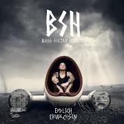 Der musikalische text INTRO ENDLICH ERWACHSEN von BASS SULTAN HENGZT ist auch in dem Album vorhanden Endlich erwachsen (2014)