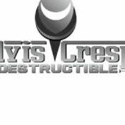 Der musikalische text ROMÁNTICO von ELVIS CRESPO ist auch in dem Album vorhanden Indestructible (2010)