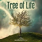 Der musikalische text AGE OF INNOCENCE von AUDIOMACHINE ist auch in dem Album vorhanden Tree of life (2013)