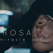 Der musikalische text MIRACLE von EMAROSA ist auch in dem Album vorhanden 131 (2016)