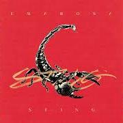 Der musikalische text FORGIVENESS von EMAROSA ist auch in dem Album vorhanden Sting (2023)