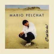 Der musikalische text QU'IMPORTE LE JOUR von MARIO PELCHAT ist auch in dem Album vorhanden C'est la vie (1995)