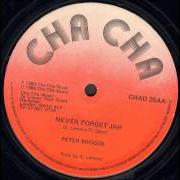 Der musikalische text NEVER FORGET JAH von PETER BROGGS ist auch in dem Album vorhanden Never forget jah (2001)