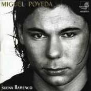 Der musikalische text COLOR DE ACEITUNA von MIGUEL POVEDA ist auch in dem Album vorhanden Suena flamenco (1998)