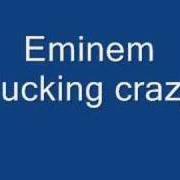 Der musikalische text FUCKING CRAZY von EMINEM ist auch in dem Album vorhanden Fucking crazy (2000)