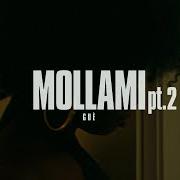 Der musikalische text MOLLAMI RMX von GUÈ ist auch in dem Album vorhanden Vero + (2015)