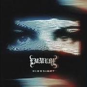 Der musikalische text PERSONA NON GRATA von EMMURE ist auch in dem Album vorhanden Hindsight (2020)