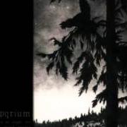 Der musikalische text A PASTORAL THEME von EMPYRIUM ist auch in dem Album vorhanden Where at night the wood grouse plays (1999)