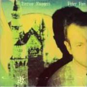 Der musikalische text LA BAND von ENRICO RUGGERI ist auch in dem Album vorhanden Peter pan (1991)