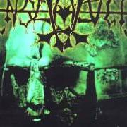 Der musikalische text LIVING BENEATH THE HAMMER von ENSLAVED ist auch in dem Album vorhanden Vikingligr veldi (1993)