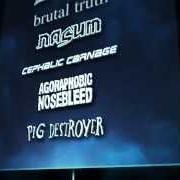 Der musikalische text UNDER THE SUN, EVERY DAY COMES AND GOES von ENTOMBED ist auch in dem Album vorhanden Family favourites (1997)