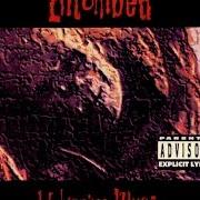 Der musikalische text HOLLOWMAN von ENTOMBED ist auch in dem Album vorhanden Wolverine blues (1993)