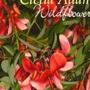 Der musikalische text UNCLE TONY'S UTE von CLELIA ADAMS ist auch in dem Album vorhanden Wildflowers (2008)
