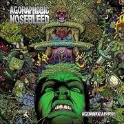 Der musikalische text WHITE ON WHITE CRIME von AGORAPHOBIC NOSEBLEED ist auch in dem Album vorhanden Agorapocalypse (2009)