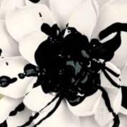 Der musikalische text STUCK UNDERNEATH von EYES SET TO KILL ist auch in dem Album vorhanden White lotus (2011)